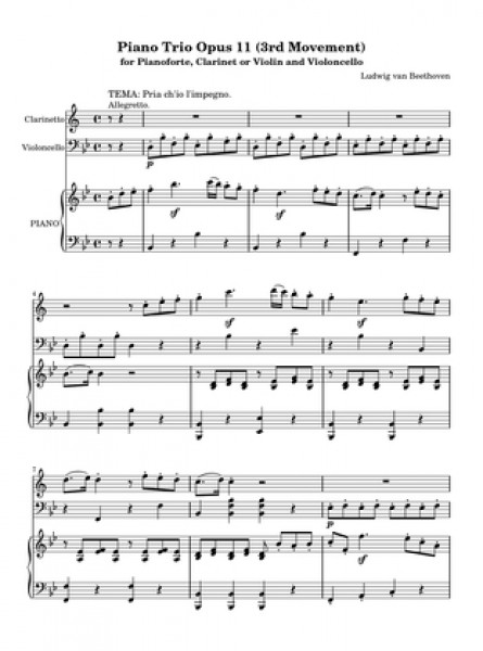 Piano Trio Opus 11 (3rd Movement)