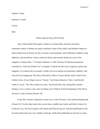  Media Analysis Essay [583 Words]