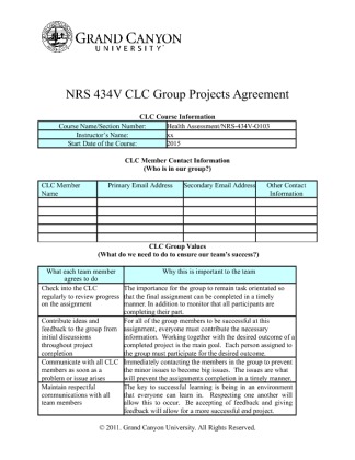  NRS 434V Week 2 CLC Group Projects Agreement