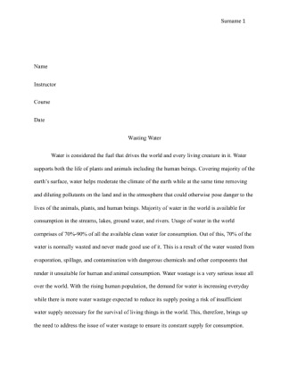  Proposal Essay   Wasting Water