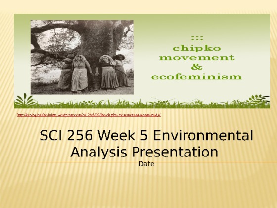   SCI 256 Week 5 Environmental Analysis Presentation [20 Slides]
