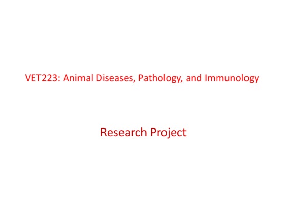Animal Diseases, Pathology, and Immunology