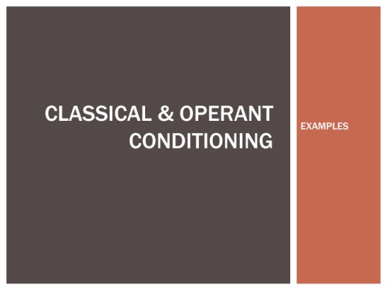 Classical and Operant Conditioning [10 Slides  Speaker Notes]