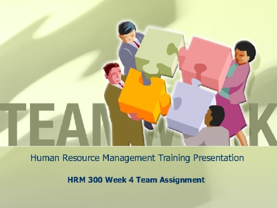 HRM 300 Week 4 Team Assignment Human Resource Management Training...
