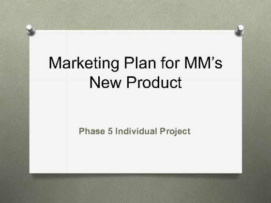 MKTG 630 Phase 5 Individual Project (14 Slides  Detailed Speaker Notes)