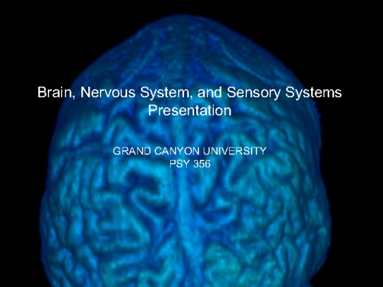 PSY 356 Week 1 Assignment   Brain, Nervous System, and Sensory Systems...