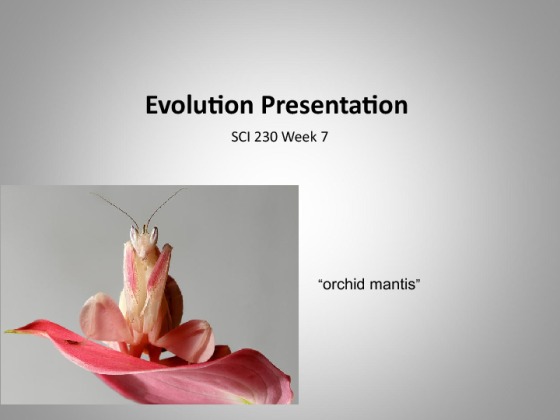 SCI 230 week 7 Assignment Evolution Presentation