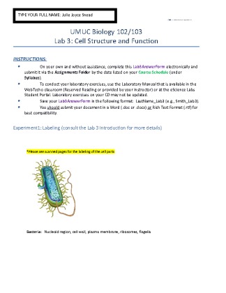 UMUC Biology Lab 3   Cell Structure and Function
